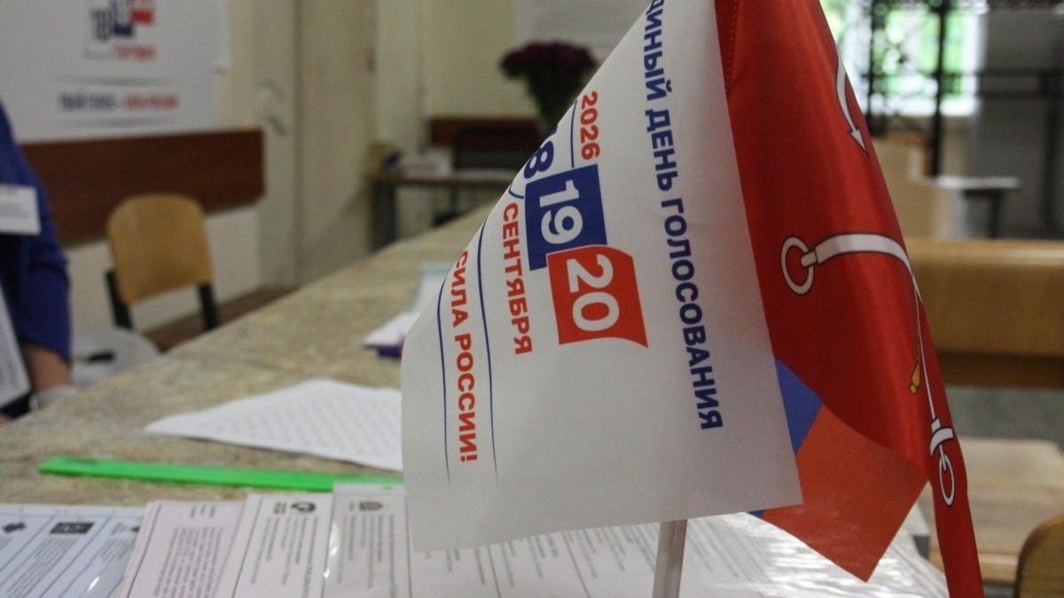 Предварительные итоги голосования за кандидатов в депутаты ЗакС по одномандатным округам: данные ТИК