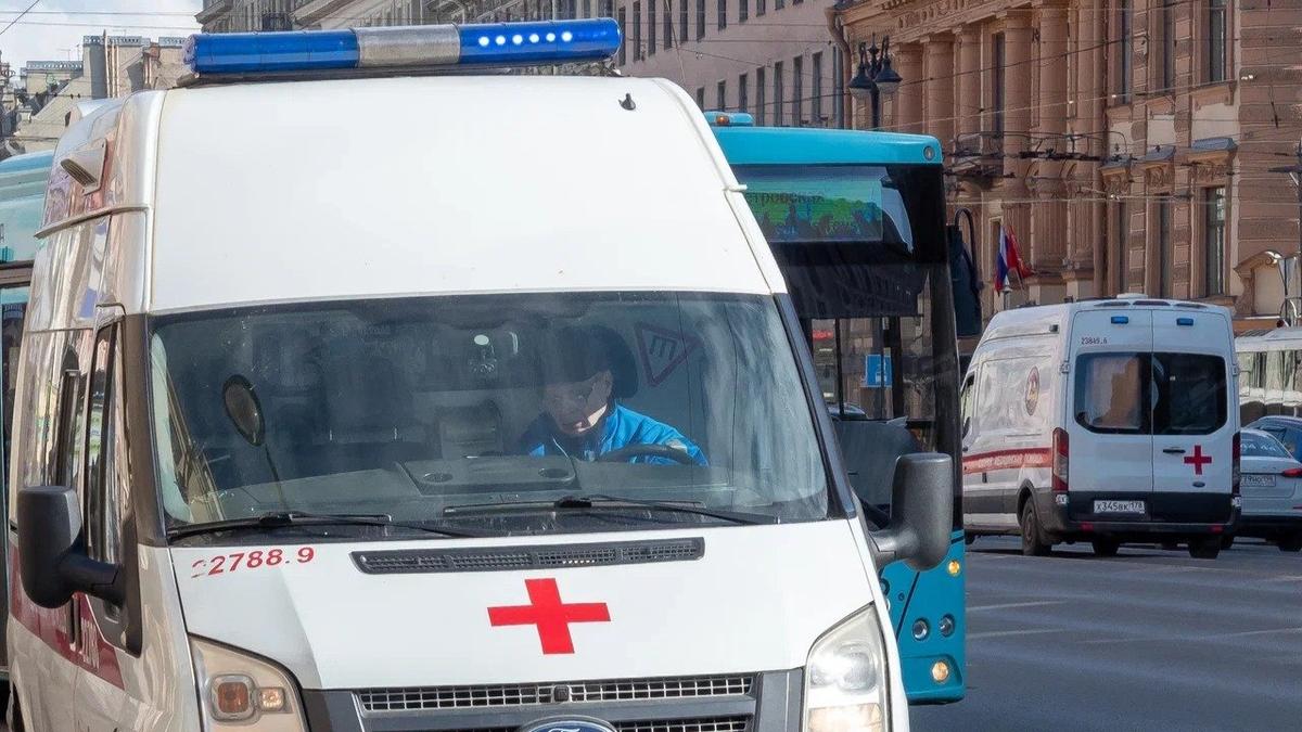 Фото: Олег Золото / МР7