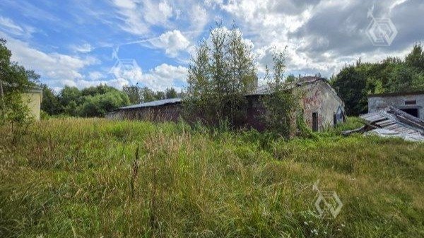 Для реставрации «Оранжереи» в Петергофе по программе «Рубль за метр» нашли инвестора