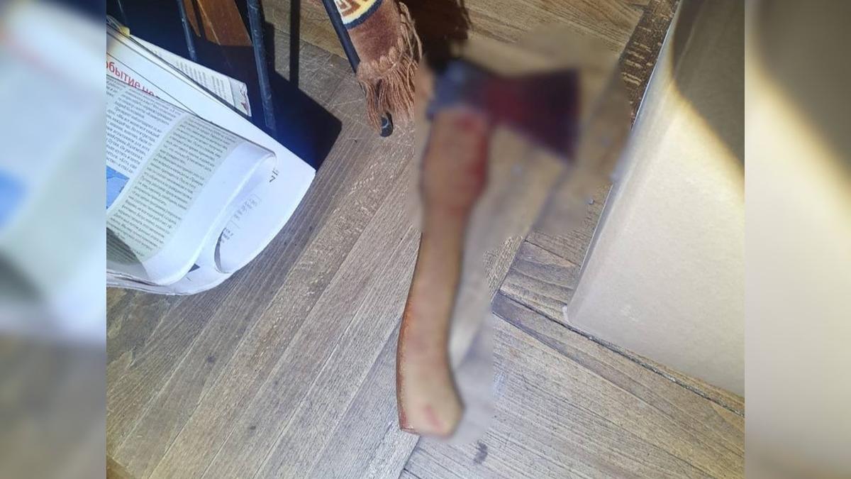 Петербуржца задержали по подозрению в попытке зарубить топором пожилую мать