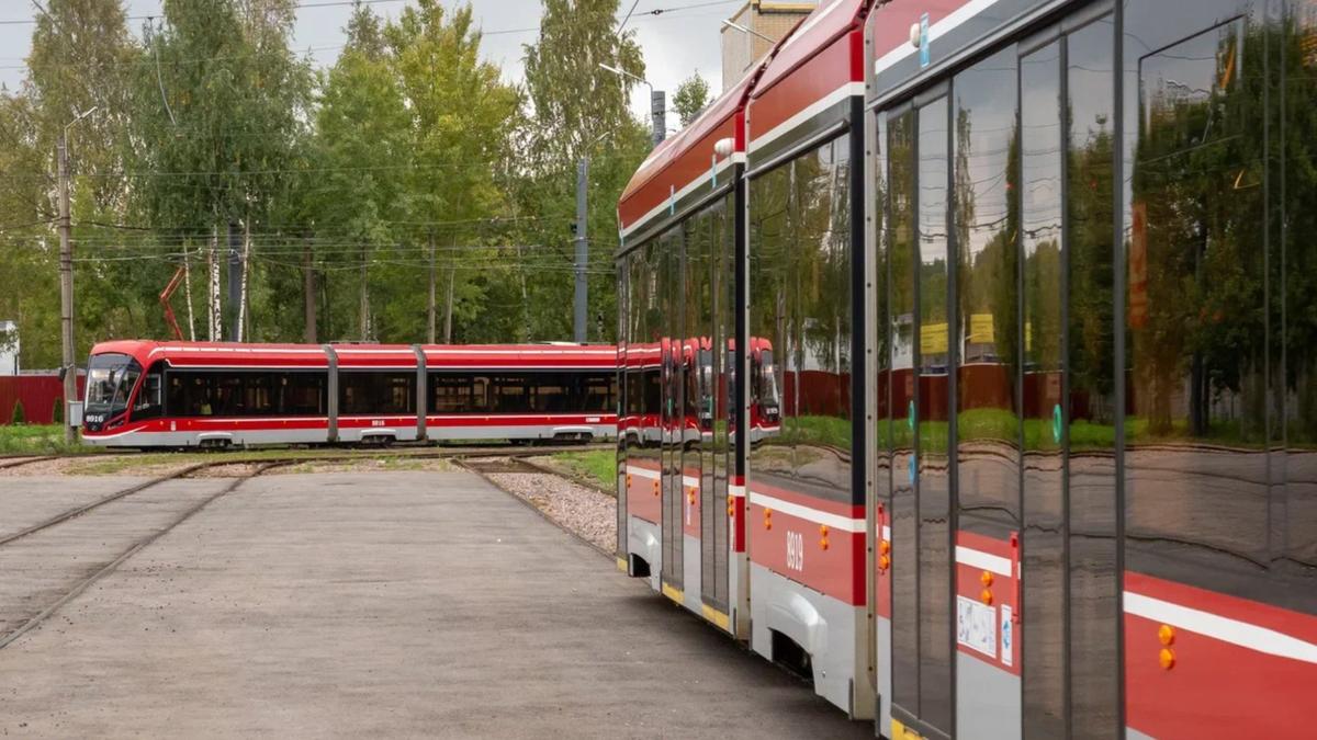 Фото: Олег Золото / МР7