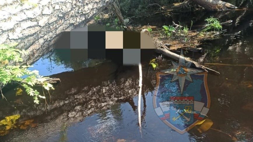 Фото: аварийно-спасательная служба Ленобласти