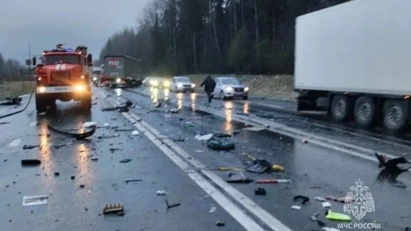 Фото: управление МЧС по Ленобласти