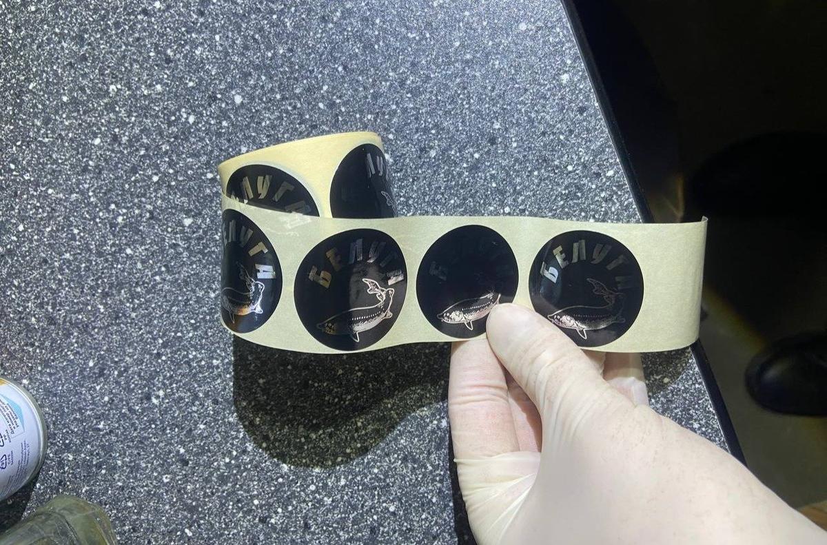 Фото: ГУ МВД по Петербургу и Ленобласти