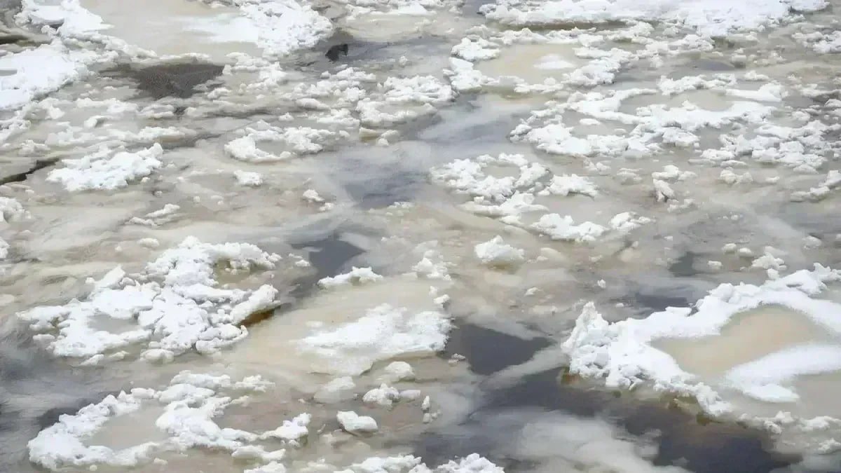 Фото: Олег Золото / МР7