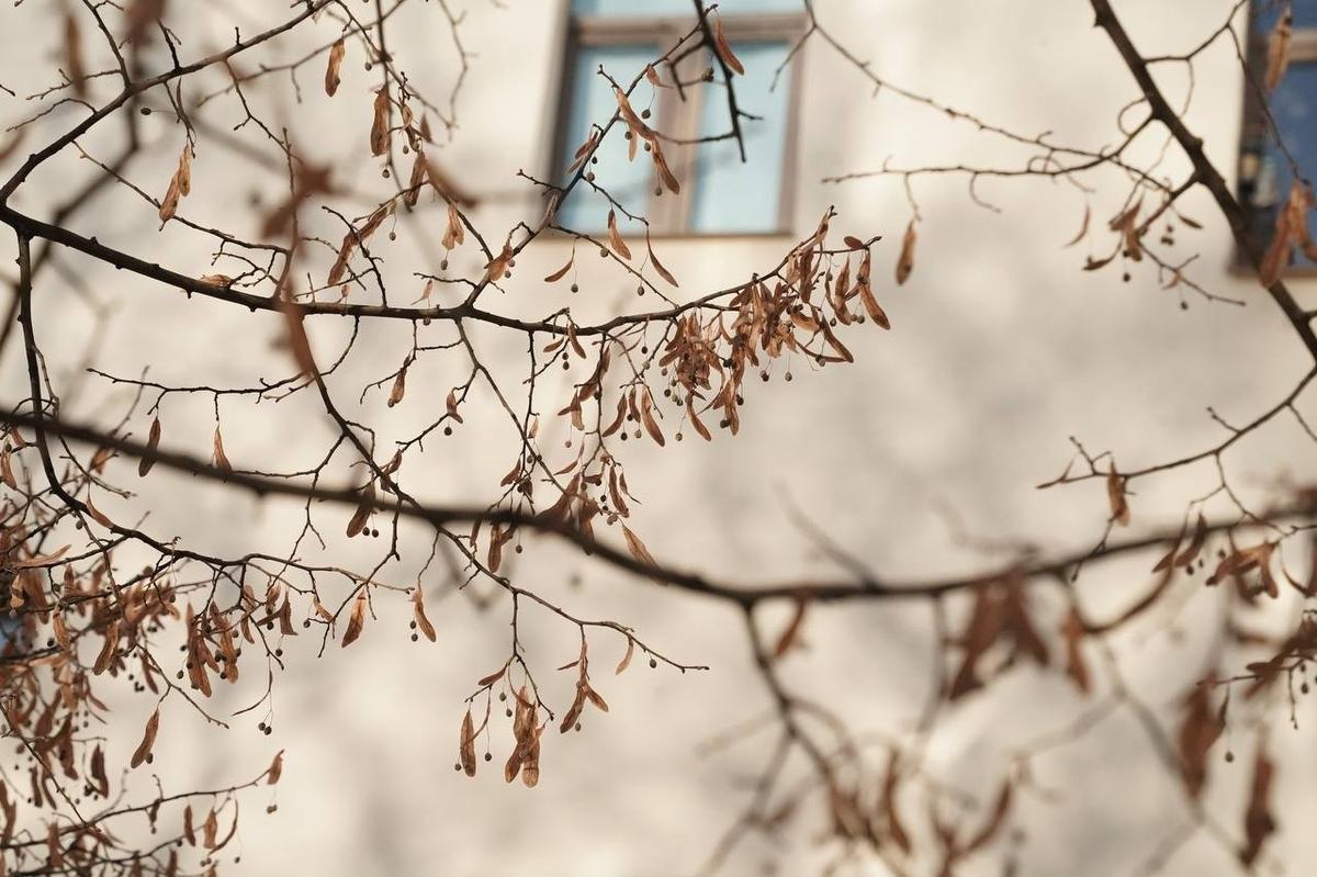 Фото: Павел Борисенко / MR7