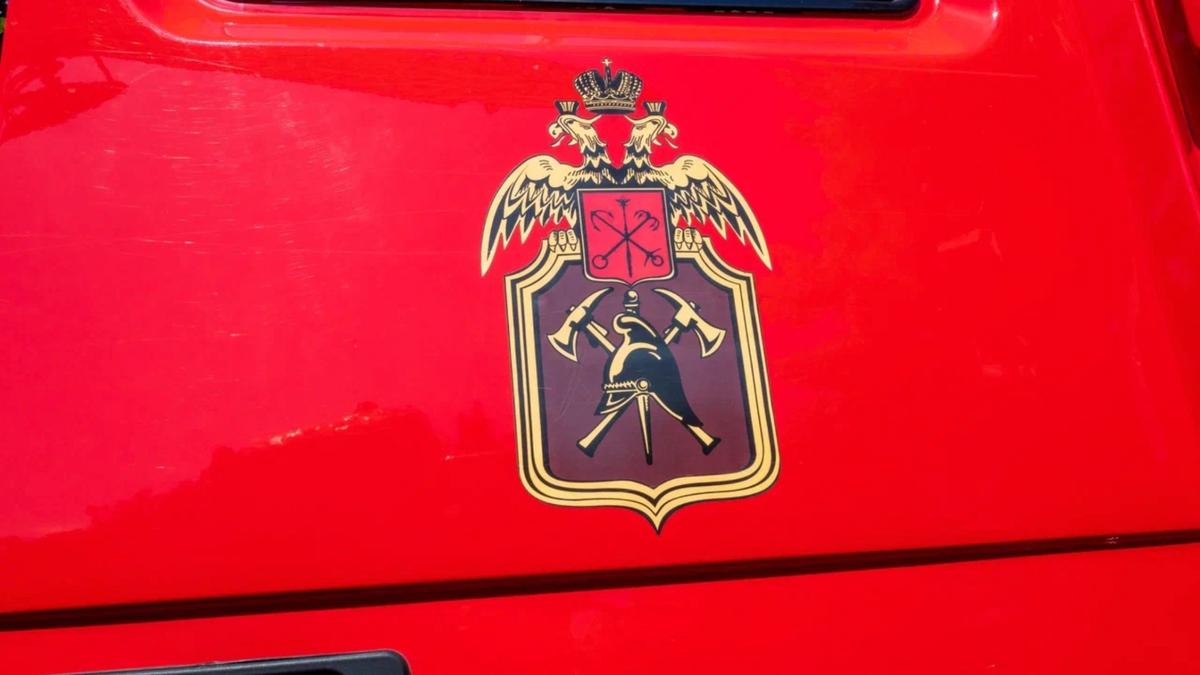 Фото: Олег Золото / МР7