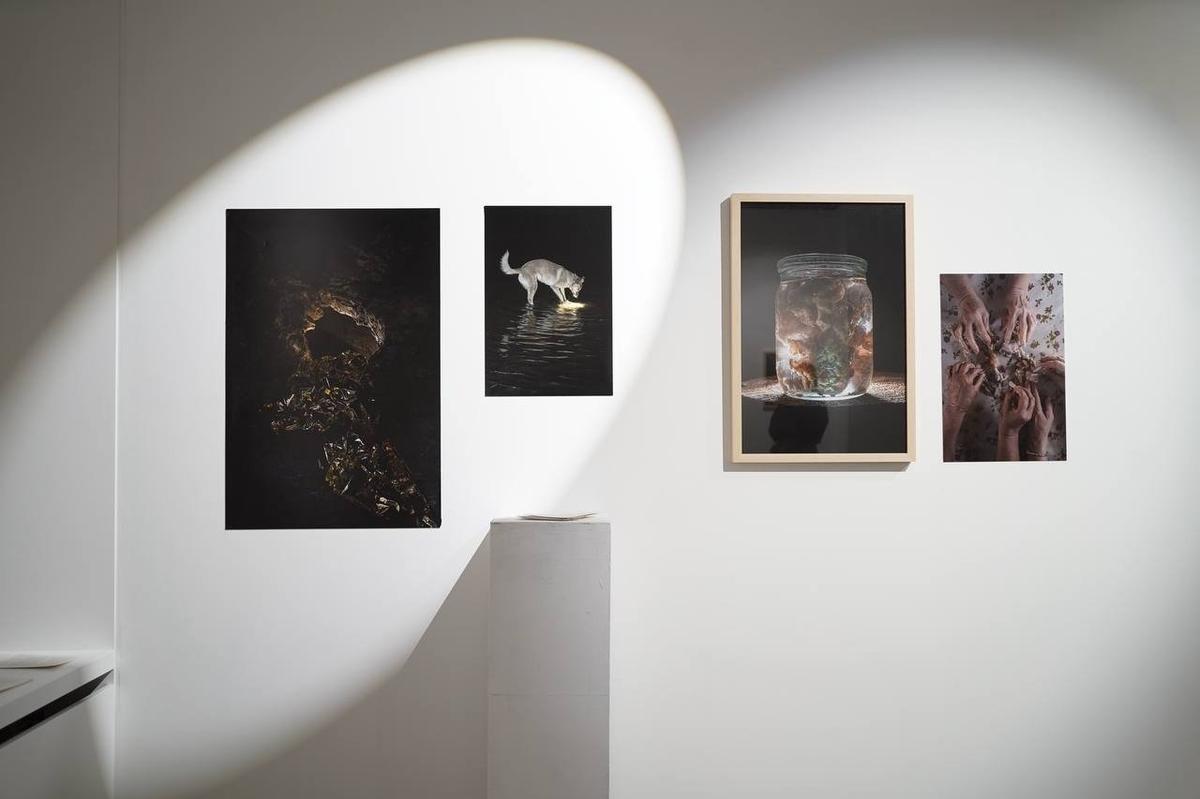 Фото: Павел Борисенко / MR7