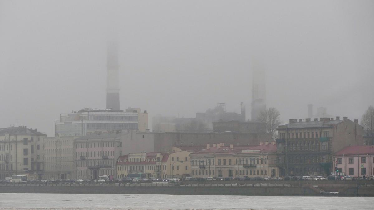 Фото: Павел Даиси / MR7