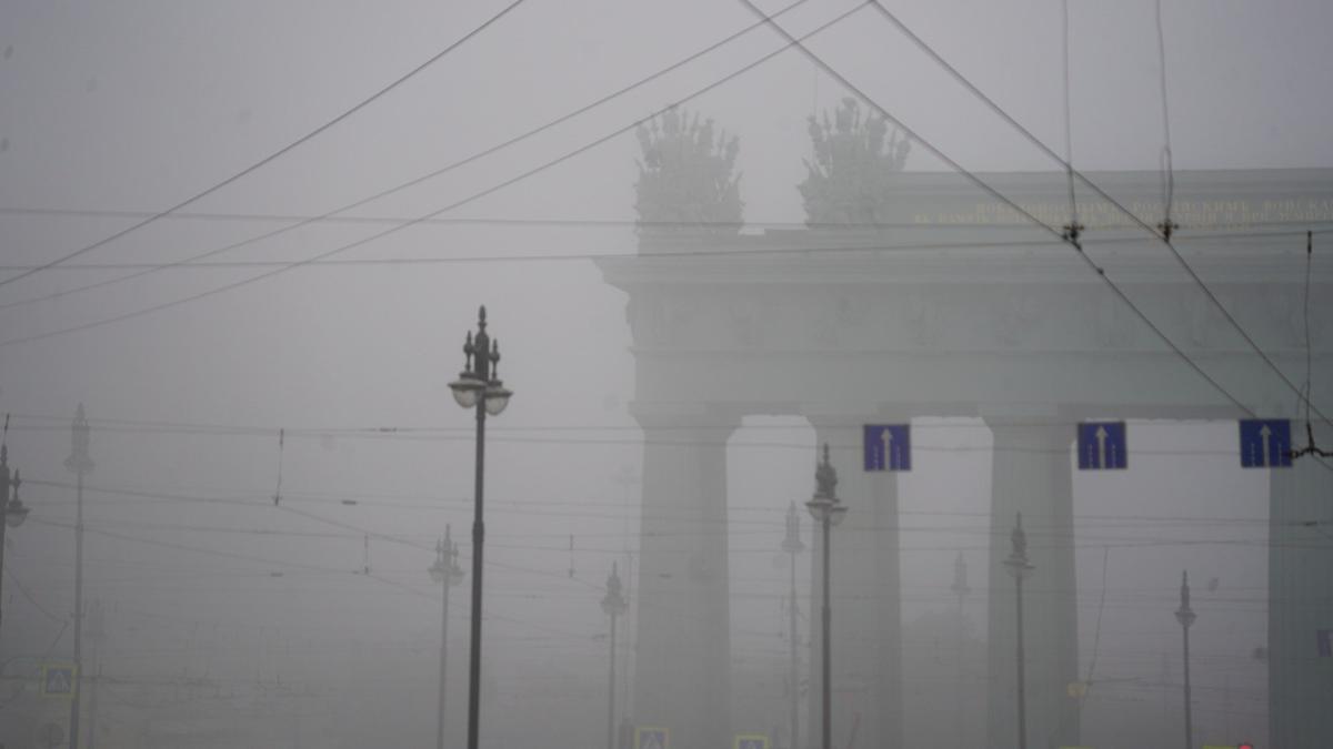 Фото: Виктория Арефьева