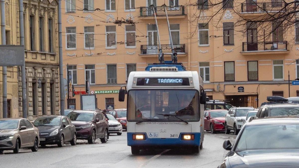 Фото: Олег Золото / МР7
