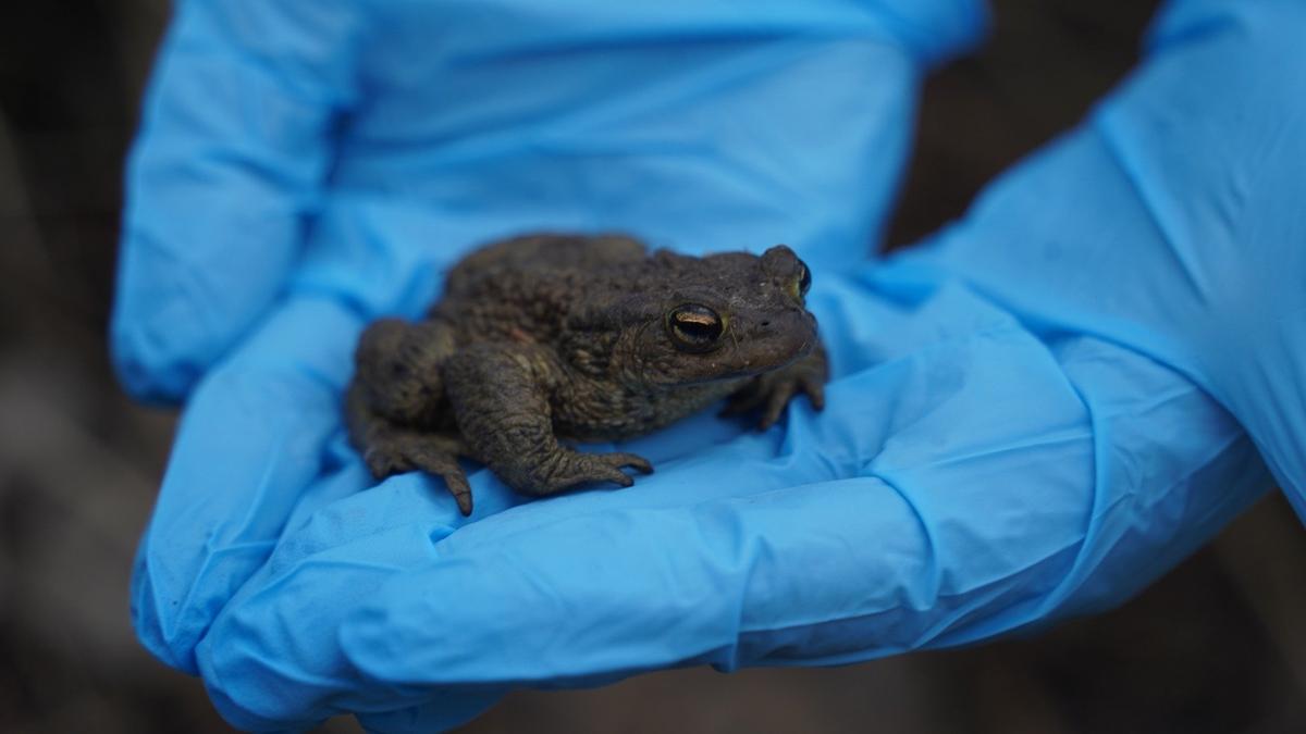 Фото: Павел Борисенко / МР7