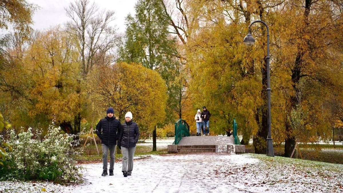 Петербург и окрестности накрыло снегом