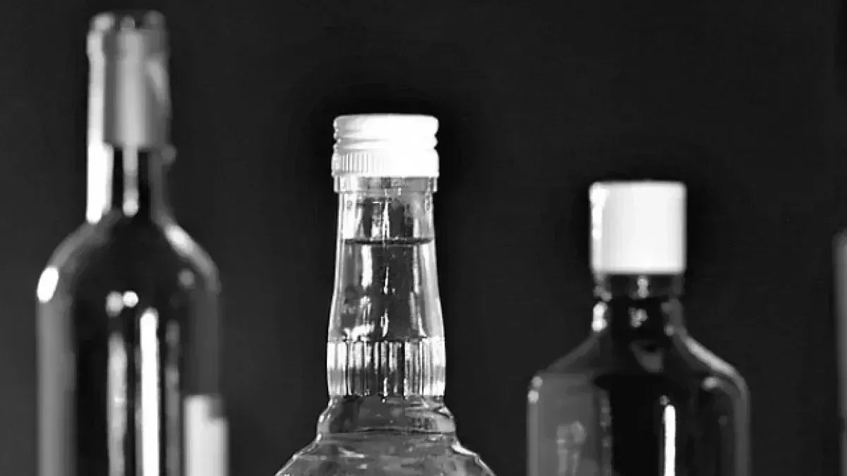 Больше всего магазинов с алкоголем находится на Комендантском и Ленинском проспектах