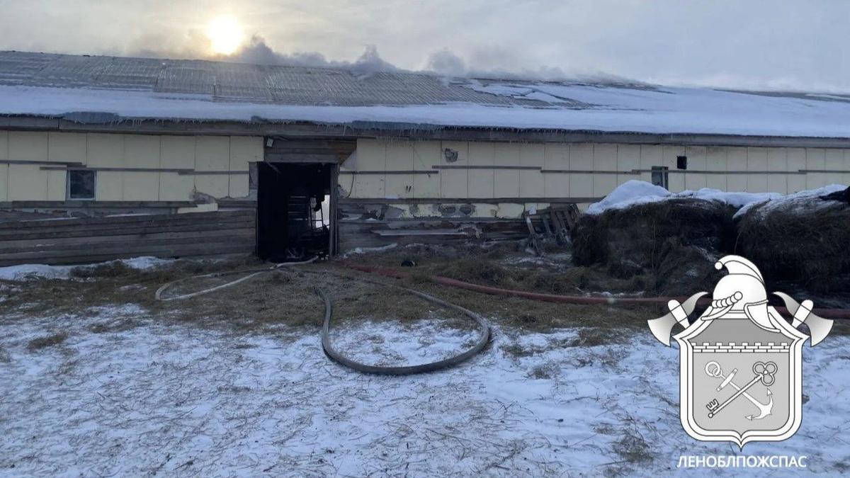 Фото: Леноблпожспасе