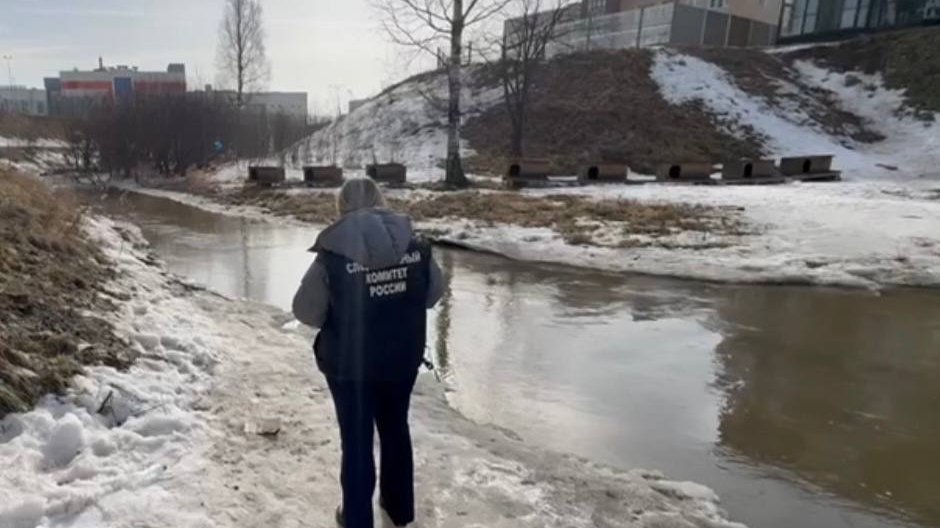 Фото: следственный комитет Петербурга