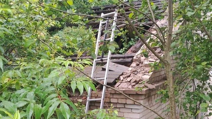 Фото: прокуратура Ленобласти