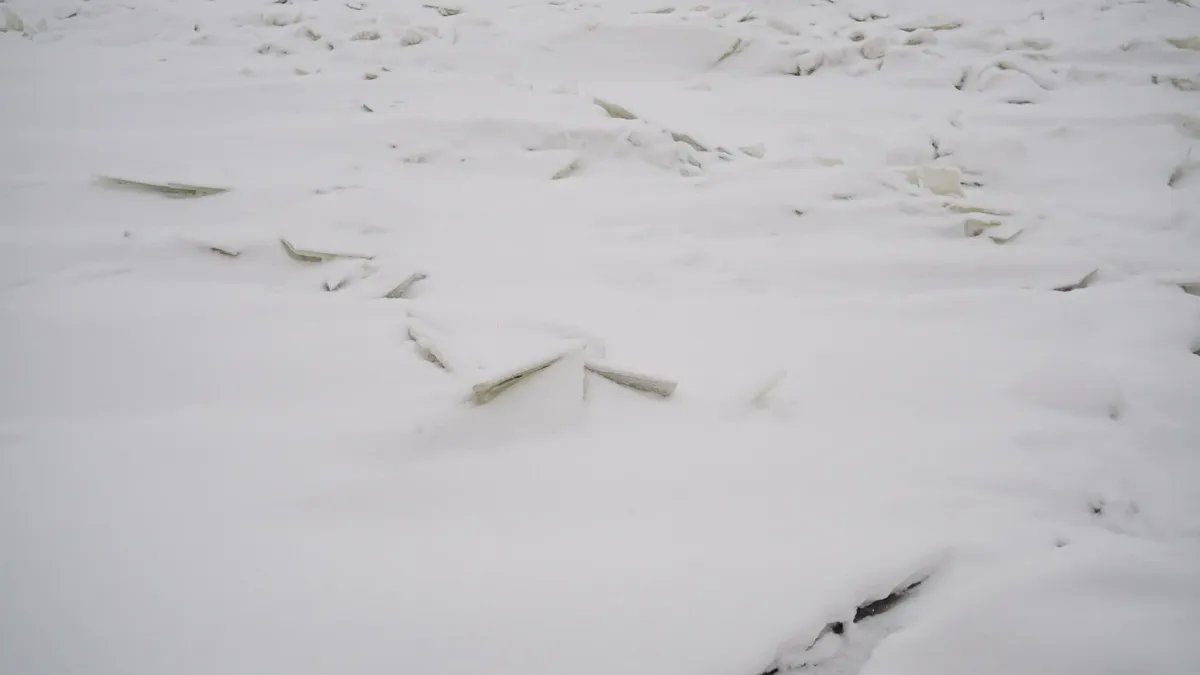 Фото: Дмитрий Абрамов / MR7