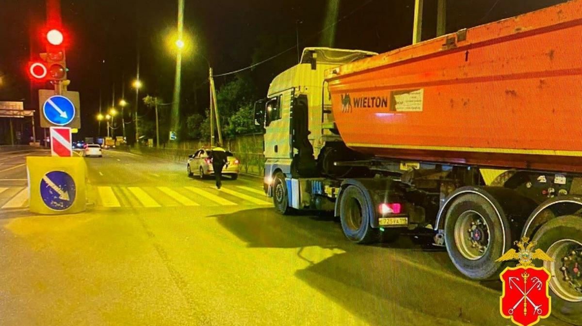 Фото: пресс-служба ГУ МВД РФ по Петербургу и Ленобласти