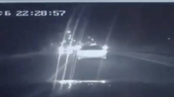 Фото: МВД по Петербургу и Ленобласти