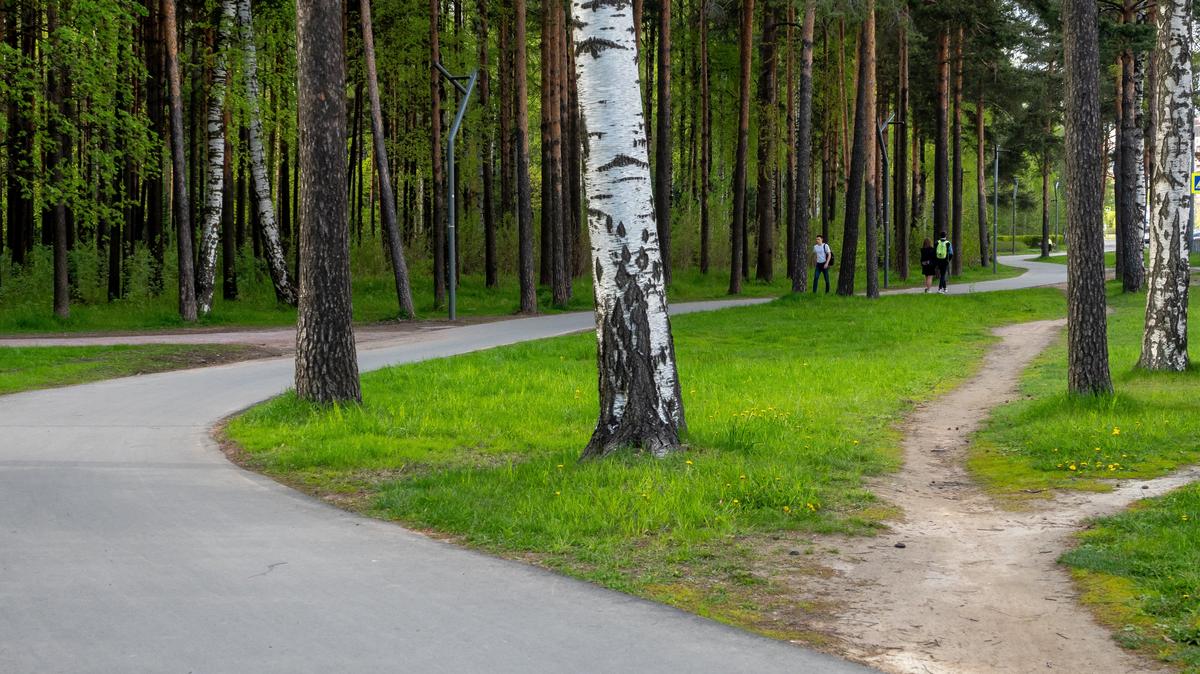 Смольный планирует исключить из перечня ЗНОП более 50 скверов