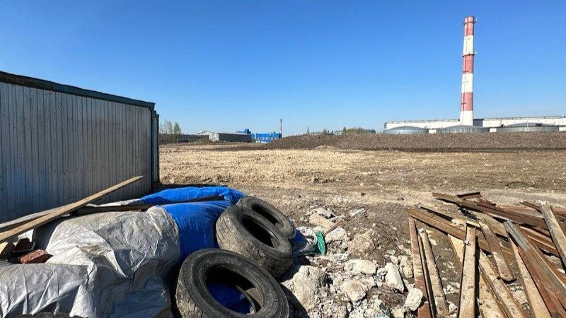 На Домостроительной улице спилили 42 дерева ради свалки