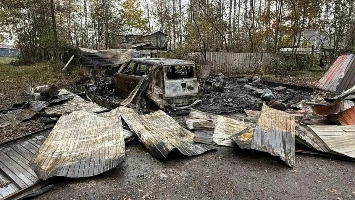 Фото: ГУ МВД по Петербургу и Ленобласти