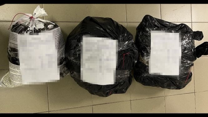 Фото: Федеральная таможенная служба