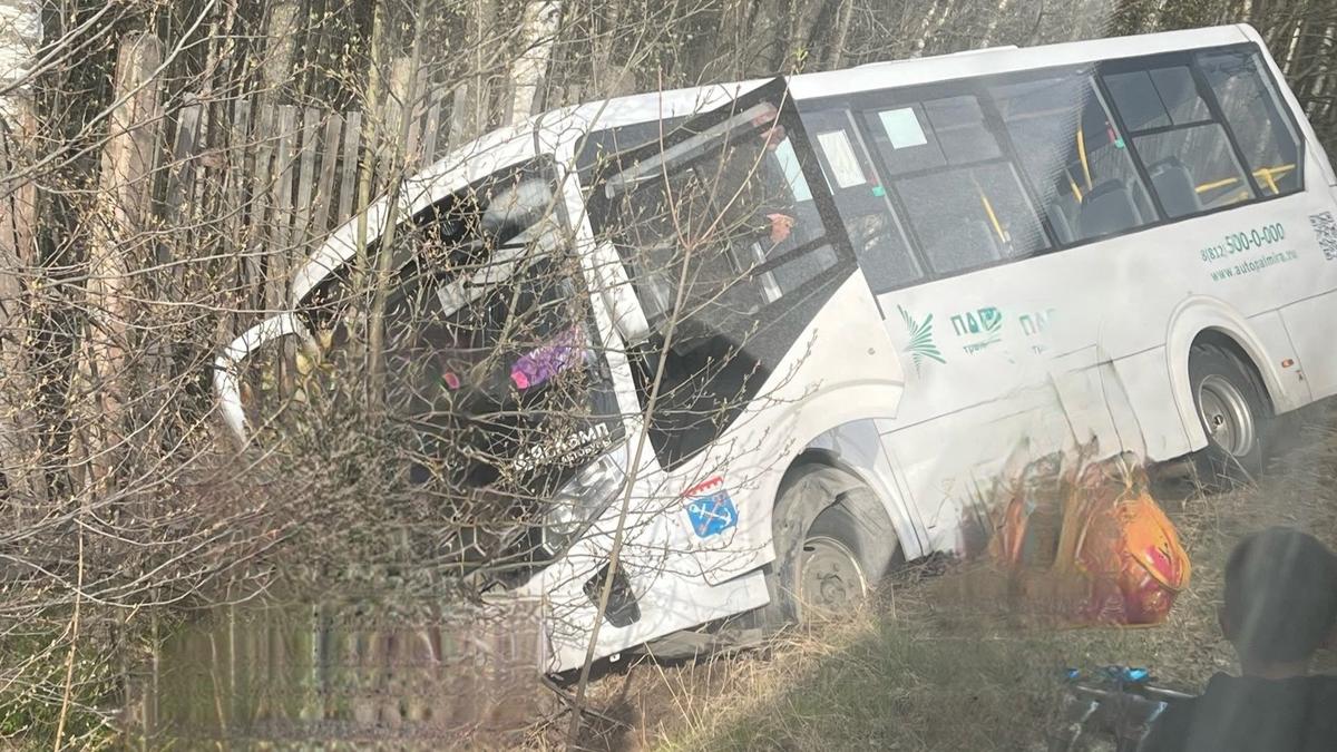 Фото: паблик «Мы ломоносовцы»