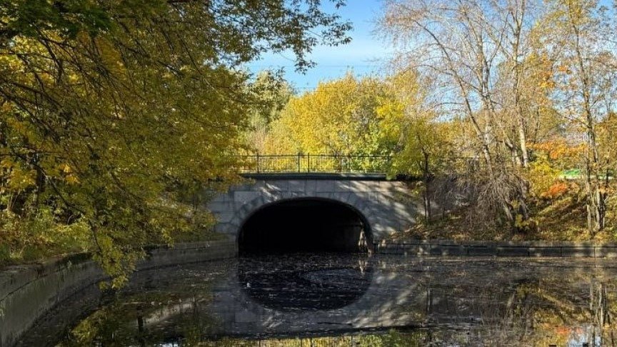 Фото: администрация Петербурга