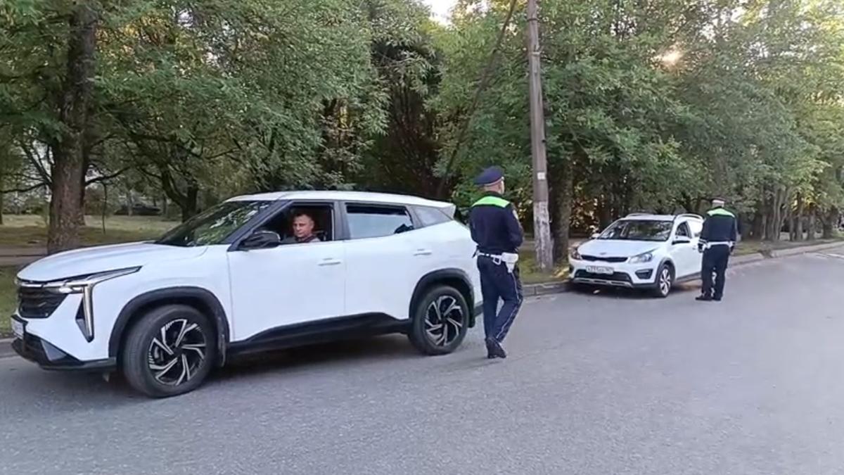 Скриншот видео: МВД по Петербургу и Ленобласти