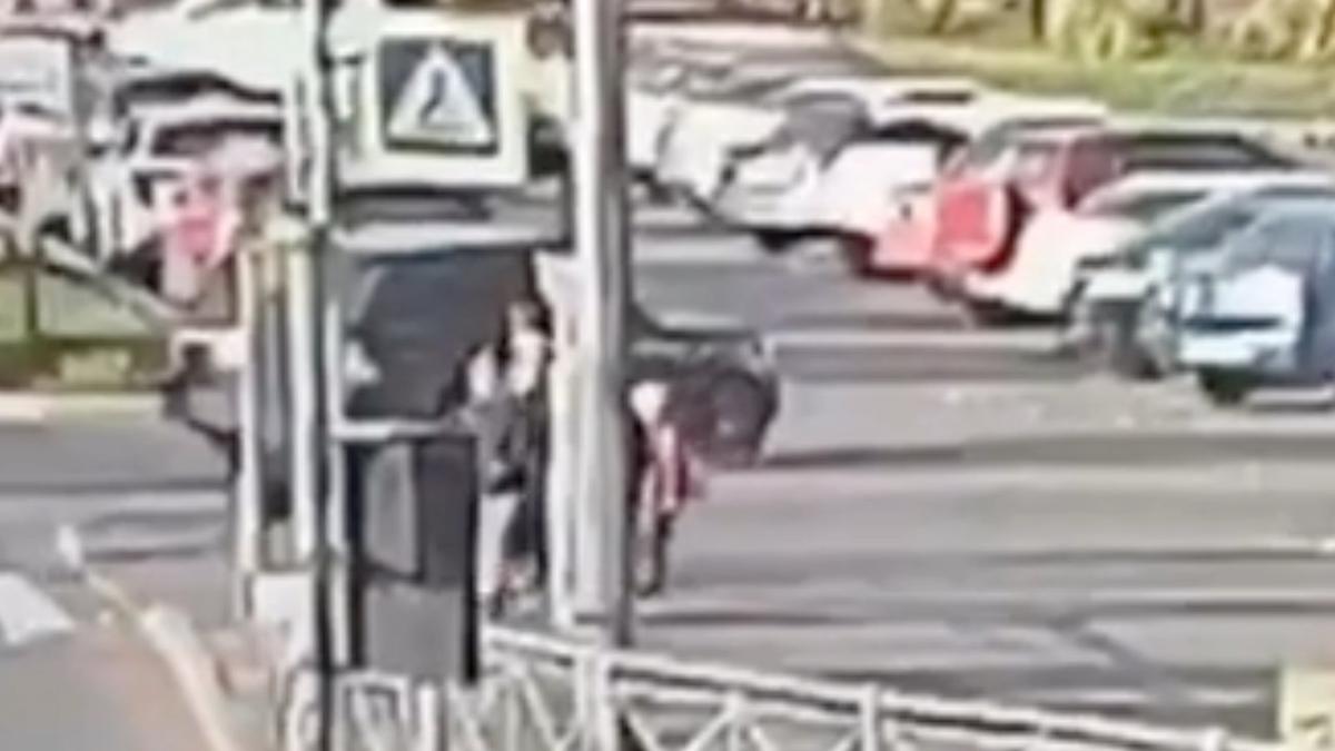 Скриншот видео ГУ МВД по СПб и ЛО