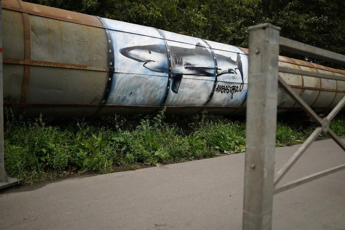 Арт-объект «Рыбка», 2025, анонимный уличный художник Maestro Jackie. Фото: Павел Борисенко / MR7