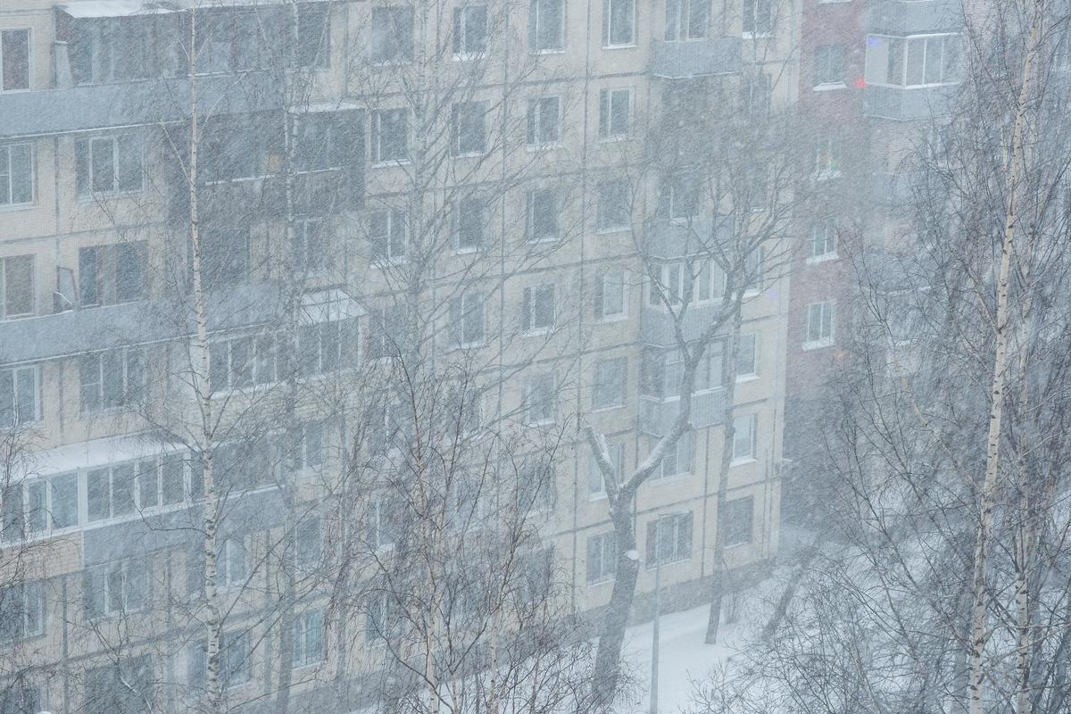 Каким будет апрель в спб. Метель в Санкт Петербурге. Питер снег метель. Снежная буря в СПБ. Петербург Питер метель снегопад.