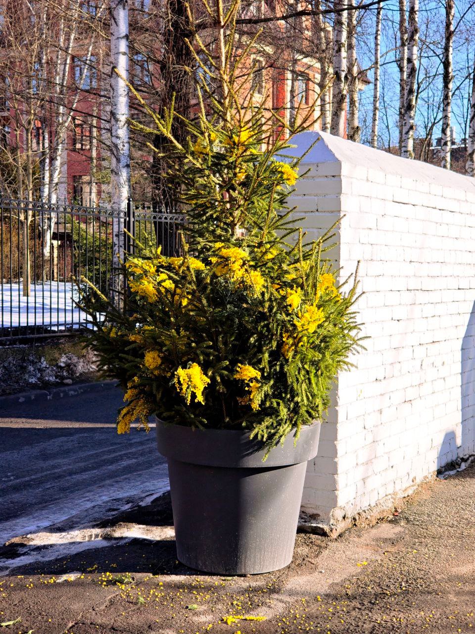 Фото: читатель MR7