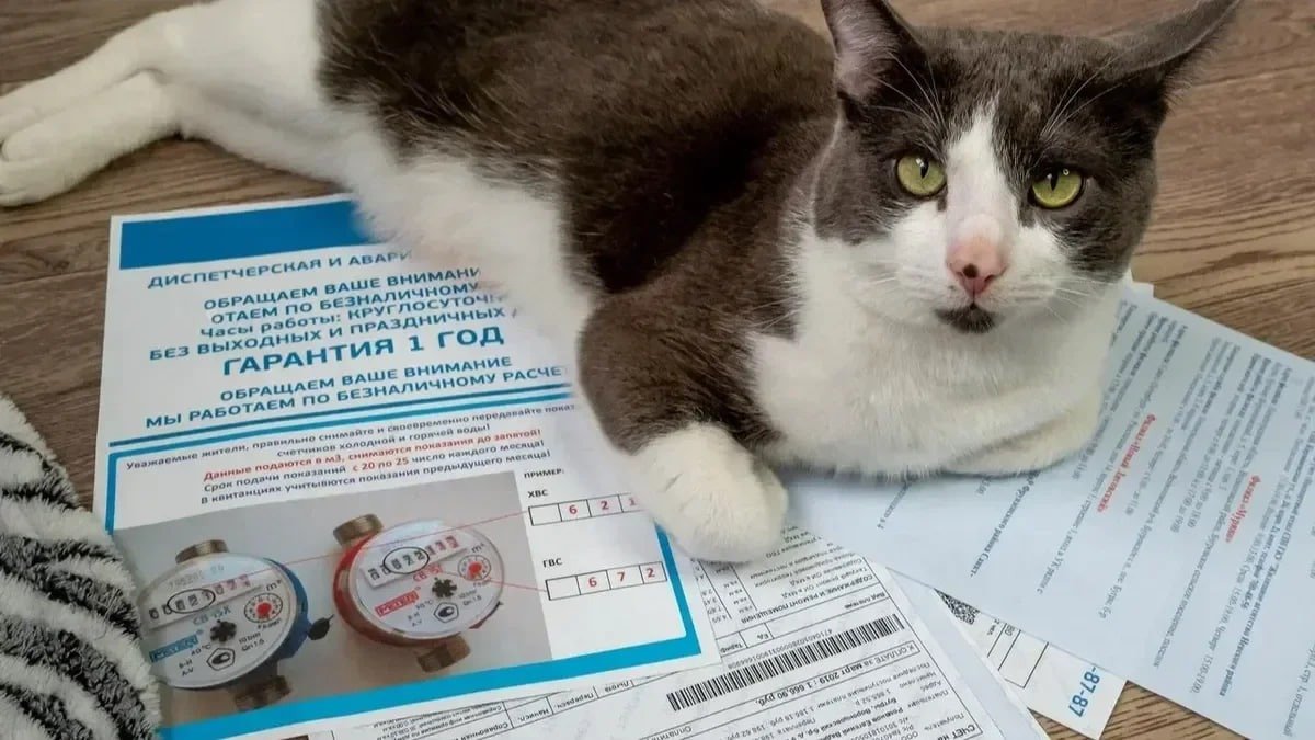 Фото: Олег Золото / МР7