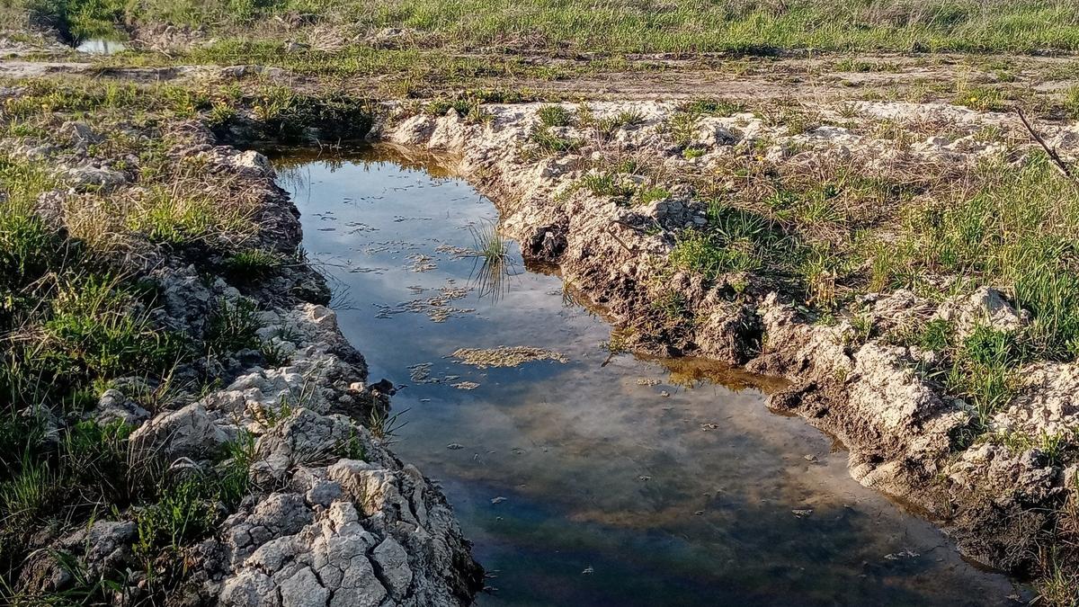 Фото: группа «Зеленый фронт»