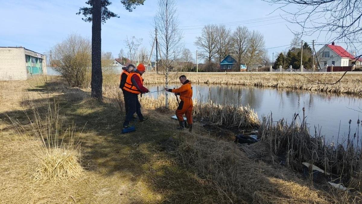 Фото: «ДобротворецЪ»