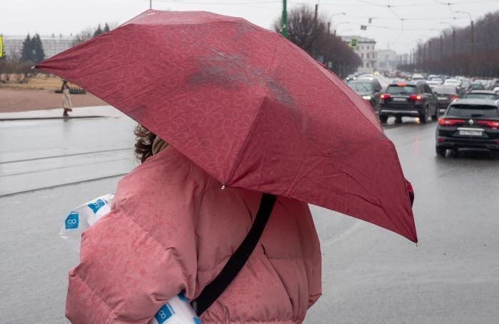 «Зонтики точно пригодятся»: главный синоптик Петербурга рассказал о погоде на выходных