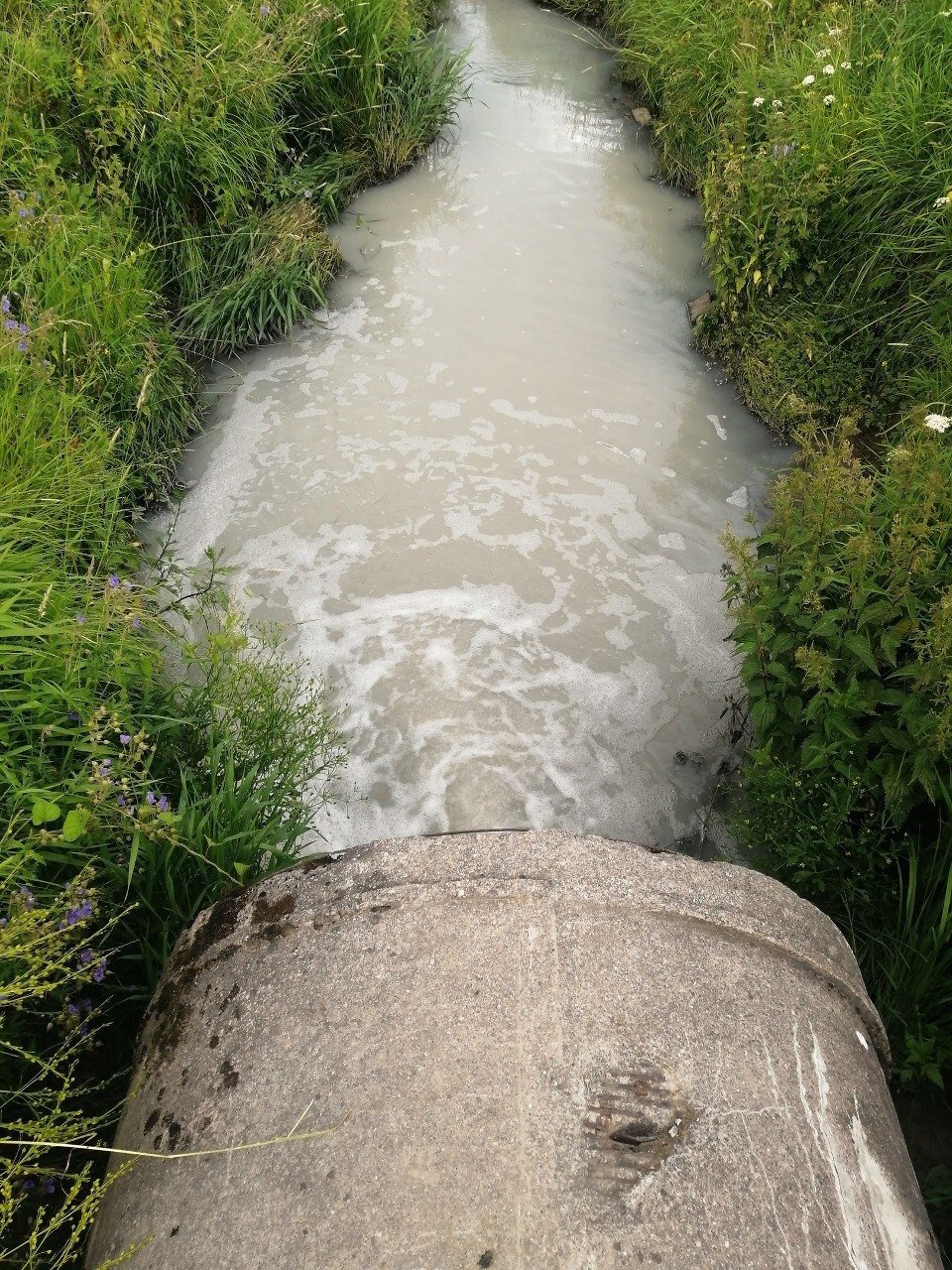 Фото: Ирина Металиди