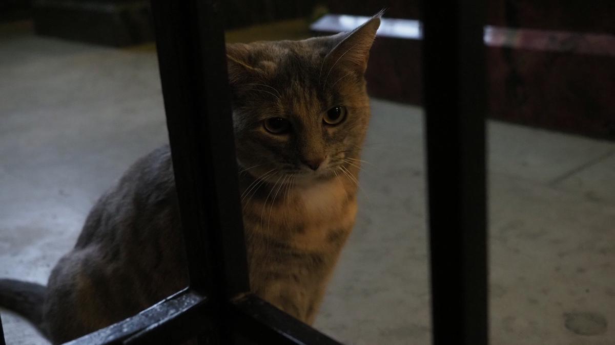 Фото: Олег Золото / MR7