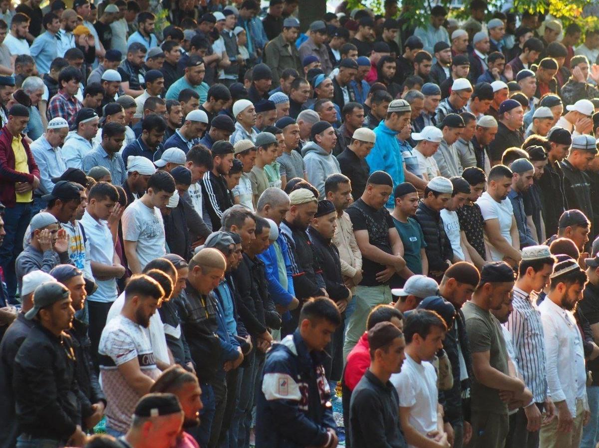 Фото: Дмитрий Абрамов / MR7