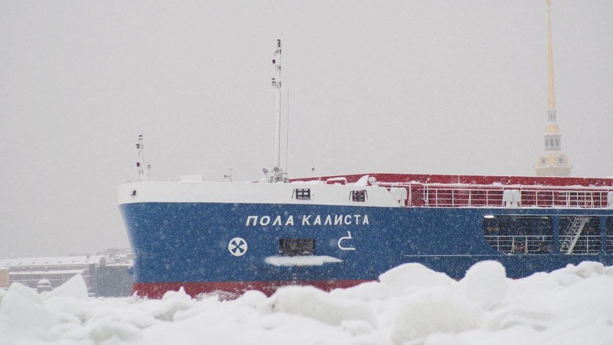 Благовещенский и Дворцовый мосты разведут для застрявшего сухогруза «Пола Калиста»