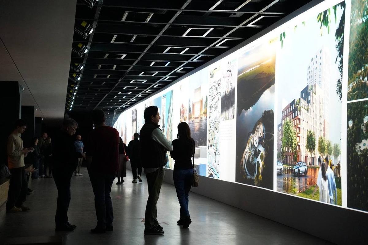 Фото: Павел Борисенко / MR7