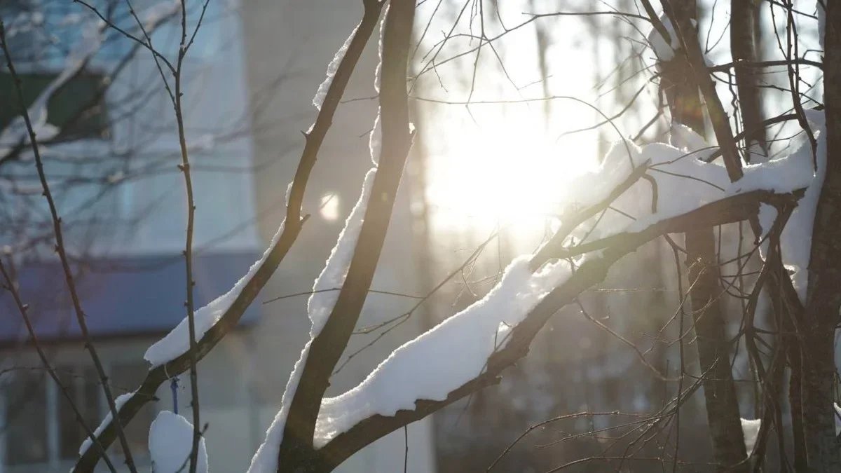 Фото: Павел Борисенко / MR7