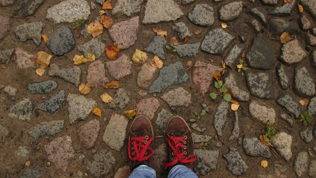 В терминологии ремонта на Шлиссельбургском шоссе будут разбираться эксперты