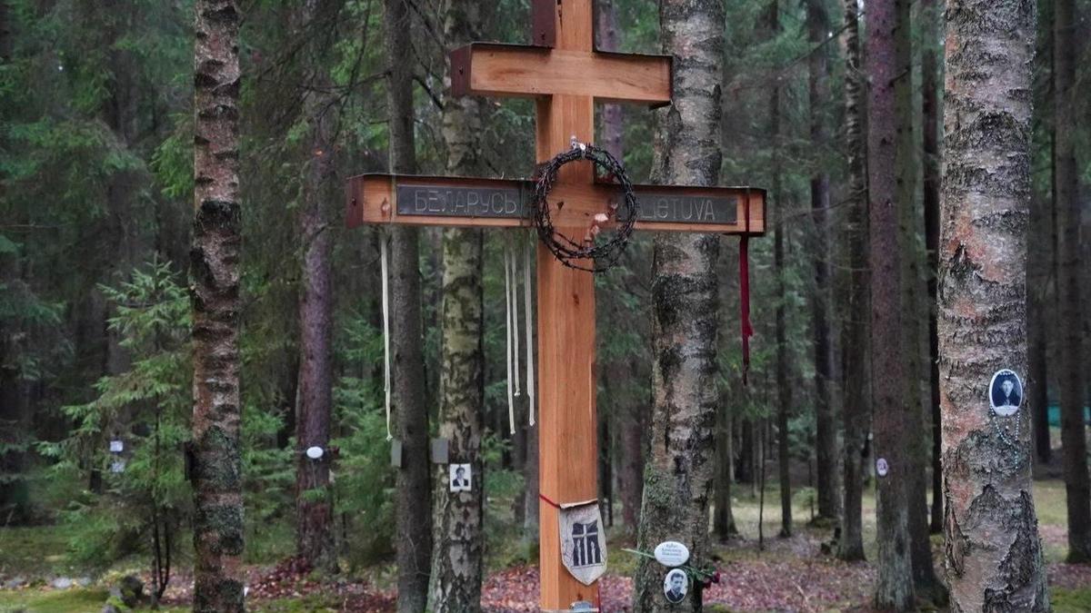 Фото: Павел Борисенко / MR7