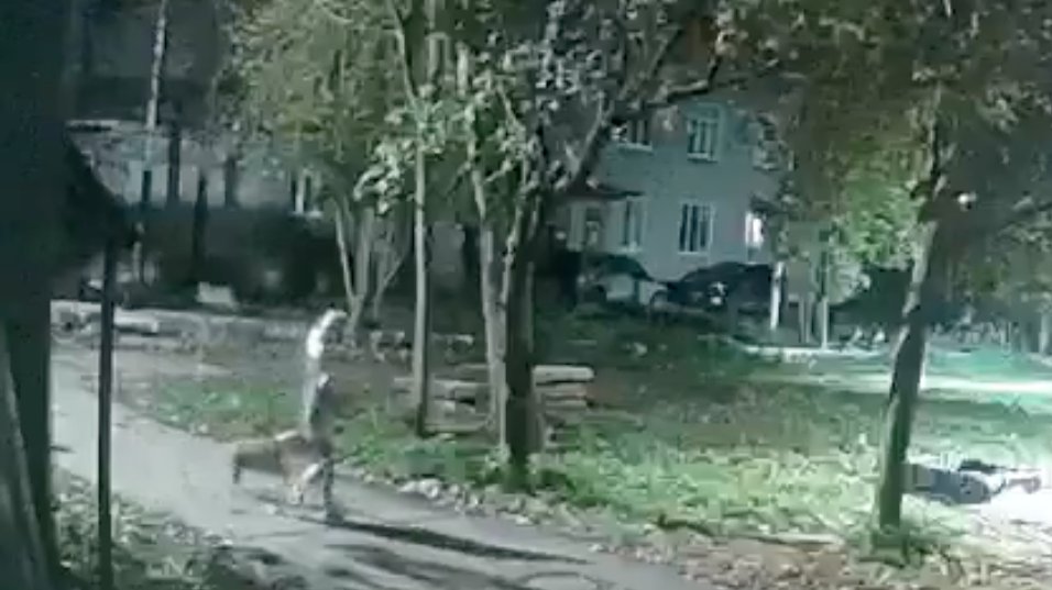 Скриншот видео страницы «БЕЛОГОРКА» / ВКонтакте