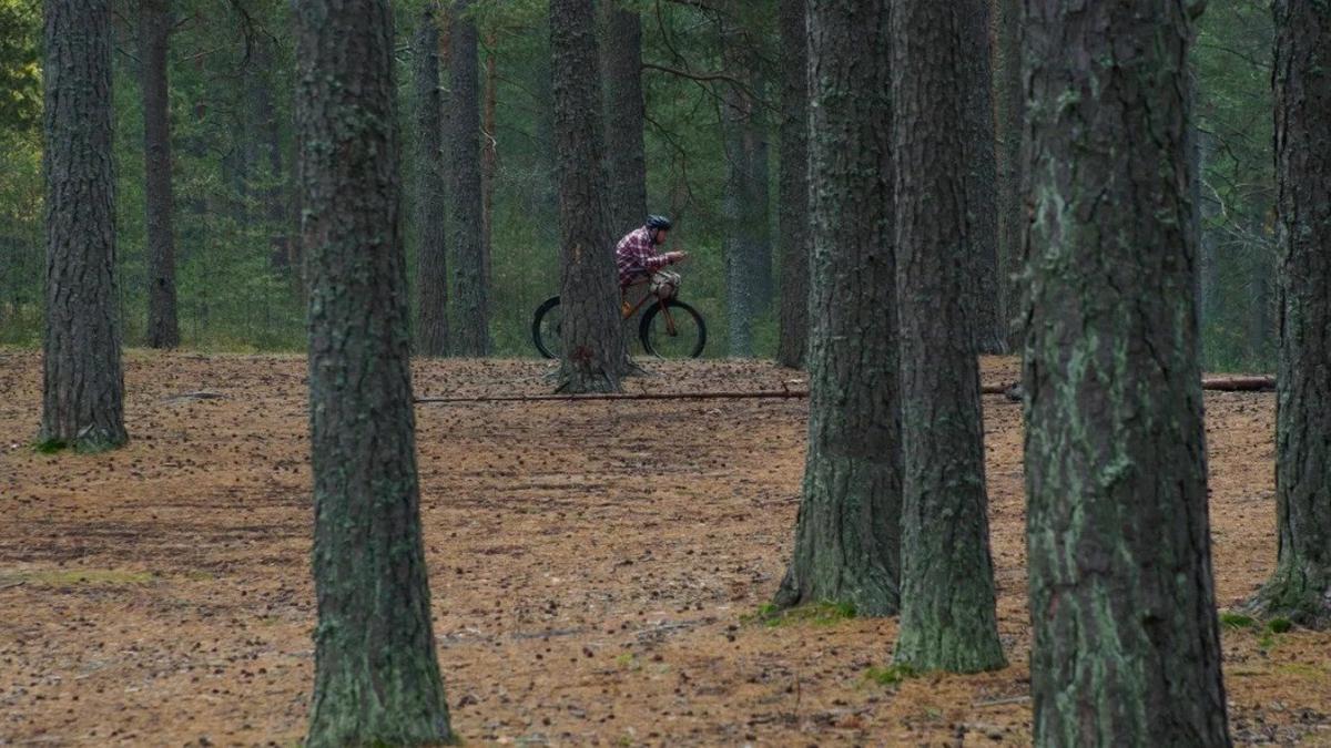 Городская комиссия выступила против строительства велолыжероллерной трассы в Сестрорецке
