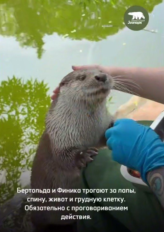 Скриншот видео: Ленинградский зоопарк